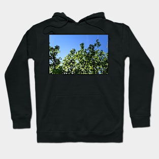 Summer Day Hoodie